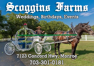 Scoggins Farms